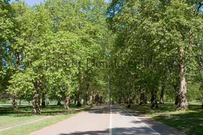 Hyde Park